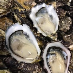 Unshucked Pacific Oysters at Richmond Oysters Ballina